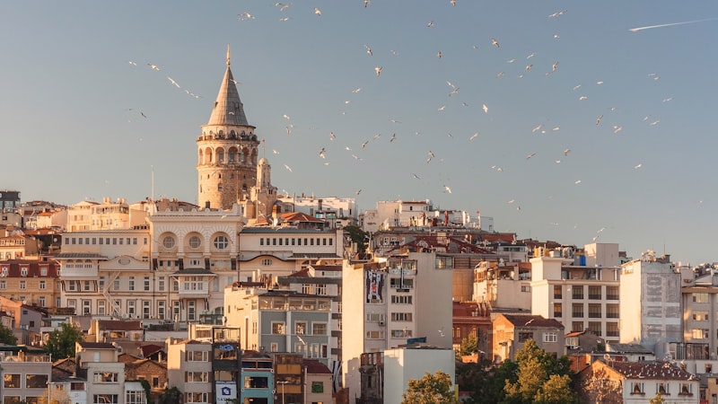 Türkiye'nin Yerli Otomobili TOGG Yeni Model Tanıttı